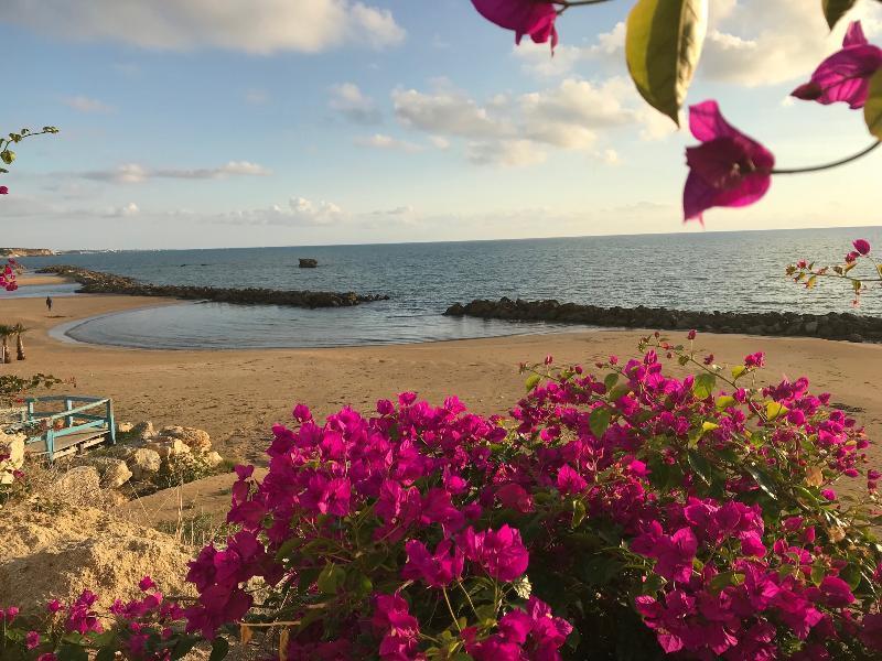 Sikelika Residence Sul Mare Scoglitti Kültér fotó