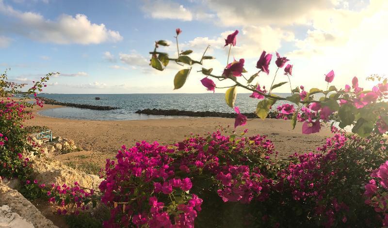 Sikelika Residence Sul Mare Scoglitti Kültér fotó